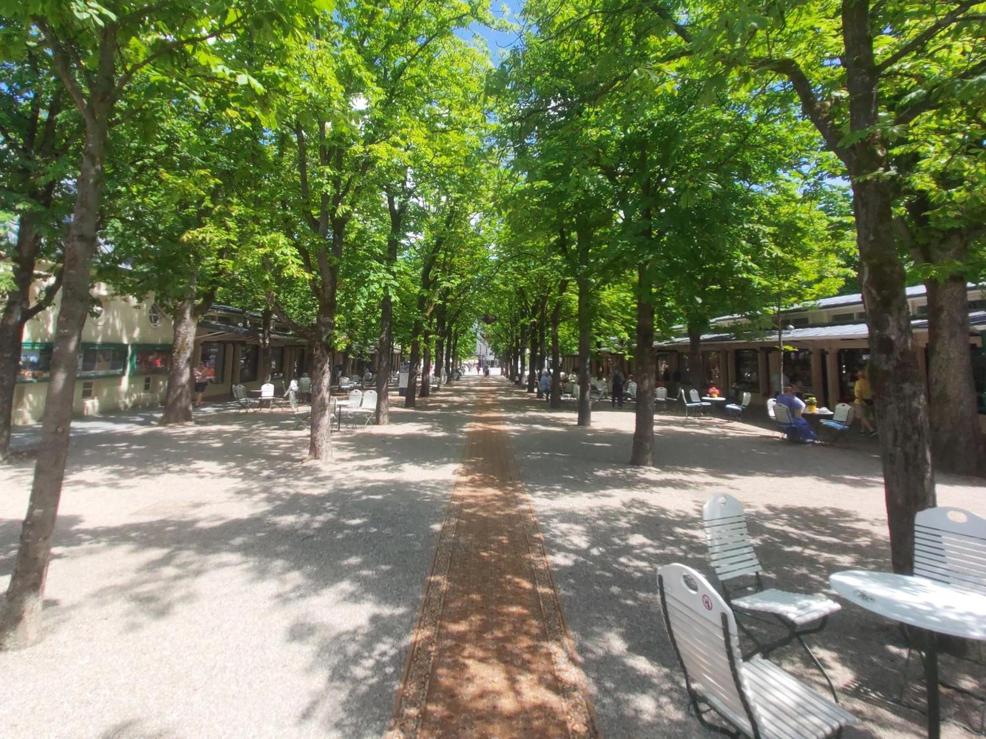 Gemuetliches J&L Apartment Nahe Des Hauptbahnhofes Baden-Baden Exteriör bild